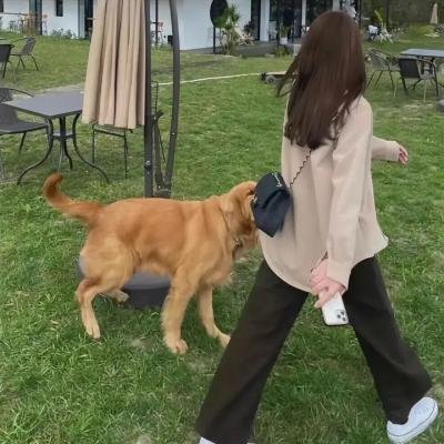 像这样的小事